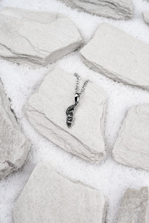 Sterling Silver Marcus Aurelius Pendant
